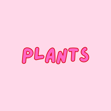 Plants
